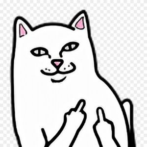 Meet your Posher, Benjamin